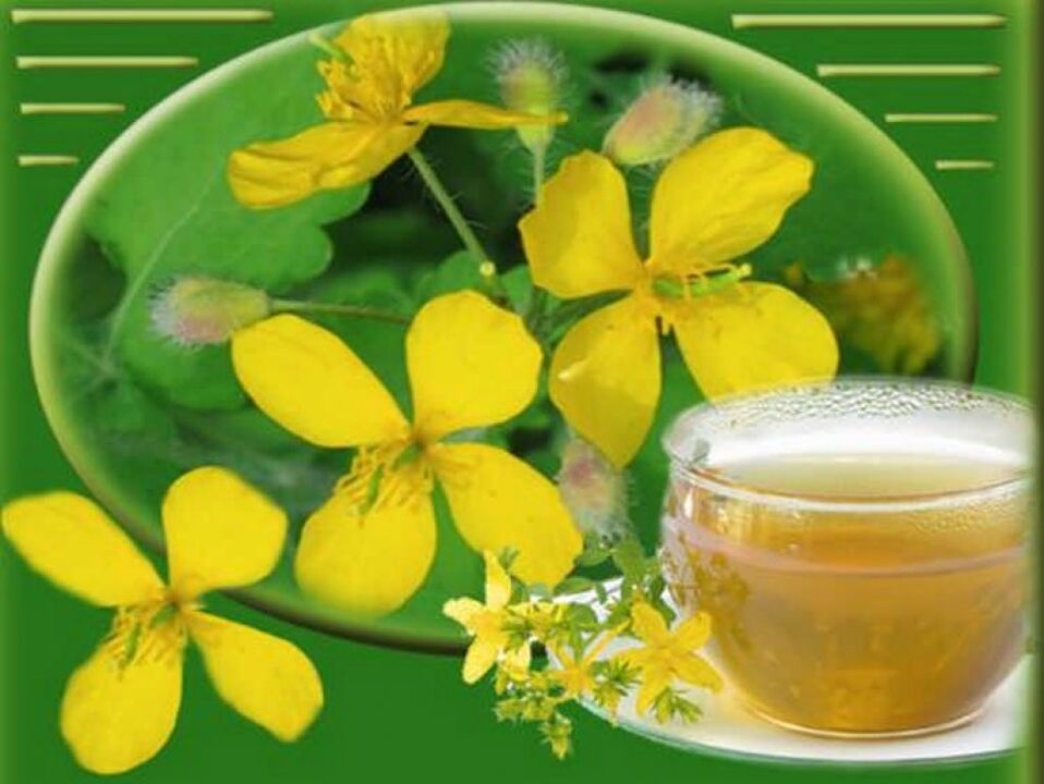 decoction zelandinearekin oinetako iltze onddoetarako